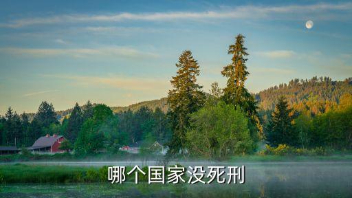 沒有死刑的國家，哪個國家不管怎么殺了人不會判死刑的啊