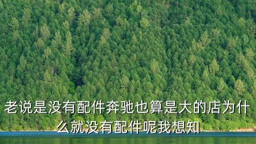 老說是沒有配件奔馳也算是大的店為什么就沒有配件呢我想知