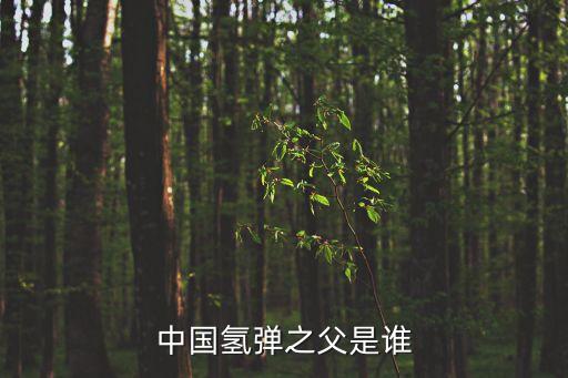 中國(guó)氫彈之父是誰(shuí)