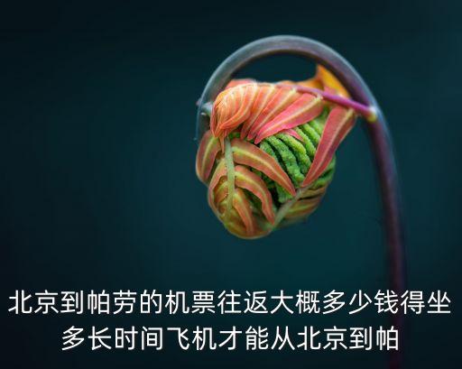北京到帕勞的機(jī)票往返大概多少錢(qián)得坐多長(zhǎng)時(shí)間飛機(jī)才能從北京到帕