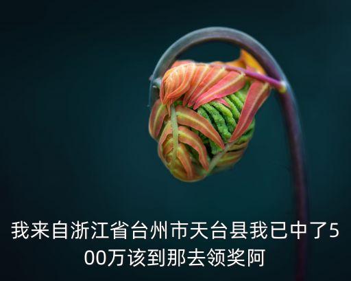 我來自浙江省臺州市天臺縣我已中了500萬該到那去領獎阿