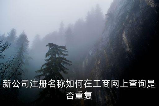 公司重名查詢，新公司注冊名稱如何在工商網(wǎng)上查詢是否重復(fù)