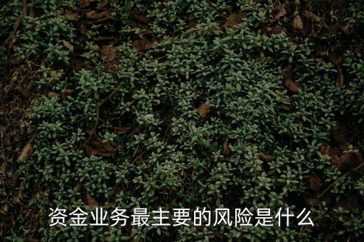 資金業(yè)務最主要的風險是什么