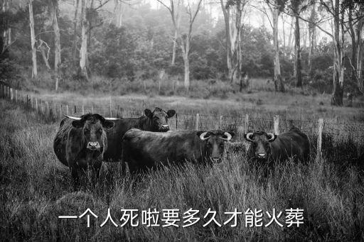 一個人死啦要多久才能火葬