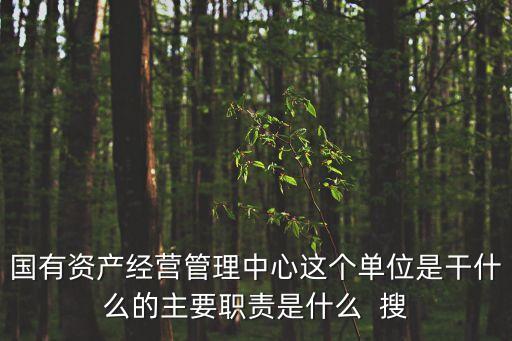 國有資產(chǎn)經(jīng)營管理中心這個(gè)單位是干什么的主要職責(zé)是什么  搜