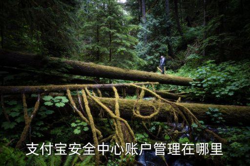 支付寶安全中心，支付寶安全中心賬戶管理在哪里
