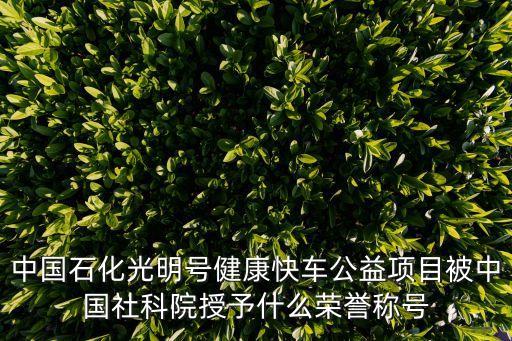 授予榮譽(yù)稱號(hào)，共青團(tuán)中央全國(guó)青聯(lián)授予青年的最高榮譽(yù)稱號(hào)是什么