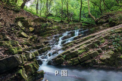 露臉p，P 圖
