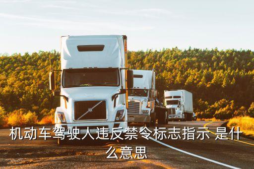 違反禁令標(biāo)志，機(jī)動(dòng)車駕駛?cè)诉`反禁令標(biāo)志指示 是什么意思