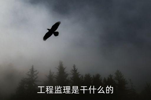 工程監(jiān)理是干什么的