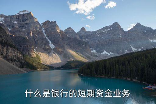 資金業(yè)務(wù)，資金業(yè)務(wù)最主要的風(fēng)險(xiǎn)是什么