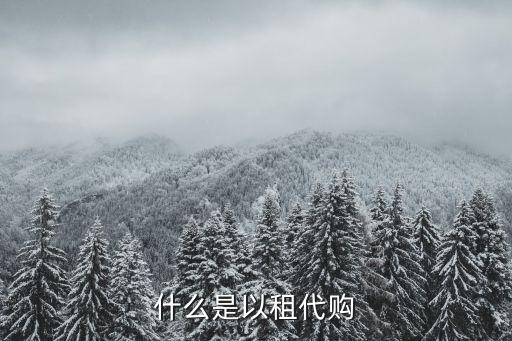 以租代購(gòu)，以租代購(gòu)有什么好處