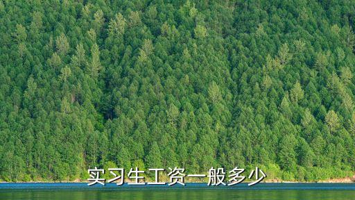 實(shí)習(xí)生工資一般多少