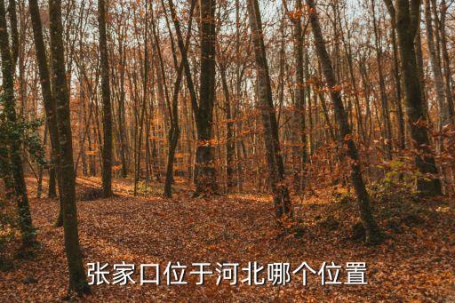 張家口在哪，張家口是哪個省的