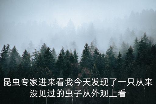 昆蟲專家進(jìn)來看我今天發(fā)現(xiàn)了一只從來沒見過的蟲子從外觀上看