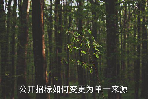 單一來(lái)源，單一來(lái)源是怎么回事