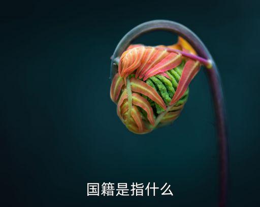 國籍是什么意思，什么是國籍