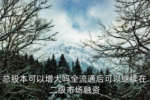 公司股本，請問一下股本總額和公司凈資產(chǎn)是怎么回事