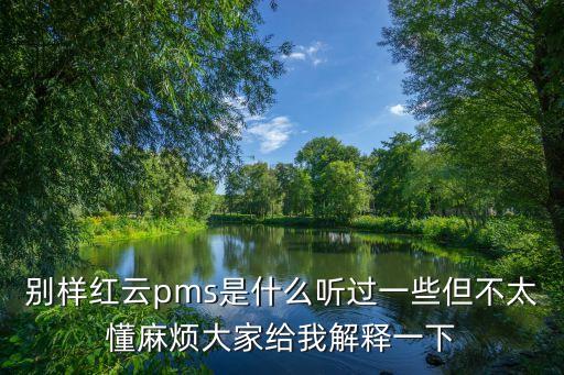 別樣紅云pms是什么聽過一些但不太懂麻煩大家給我解釋一下