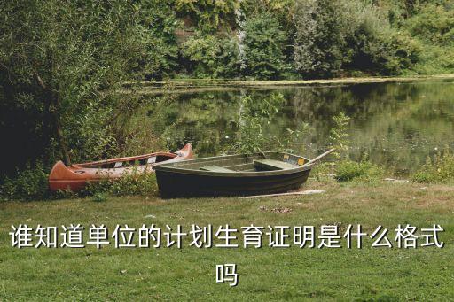 計生證明模板，計生證明樣板