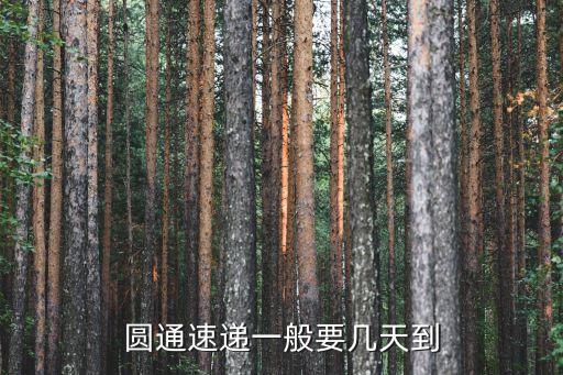 圓通時(shí)效，圓通快遞一般要幾天才能到