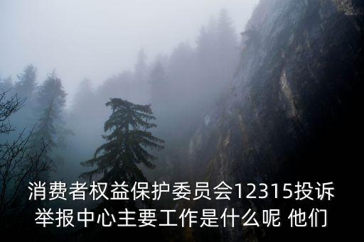 消保委，請問消保委這種單位是干什么