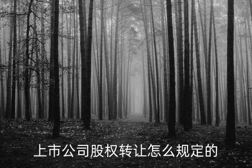 公司股份轉(zhuǎn)讓，公司股權(quán)轉(zhuǎn)讓的流程