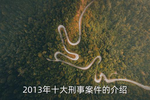 2013年十大刑事案件的介紹