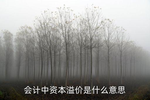 資本溢價，什么是資本溢價