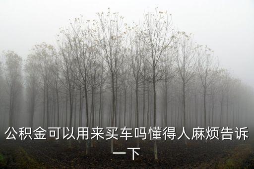 公積金可以用來買車嗎懂得人麻煩告訴一下