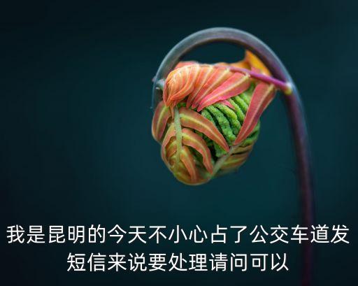 我是昆明的今天不小心占了公交車道發(fā)短信來說要處理請(qǐng)問可以