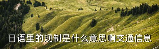 規(guī)制，日語里的規(guī)制是什么意思啊
