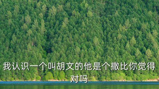 我認(rèn)識(shí)一個(gè)叫胡文的他是個(gè)撒比你覺得對(duì)嗎