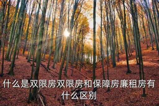 什么是雙限房雙限房和保障房廉租房有什么區(qū)別