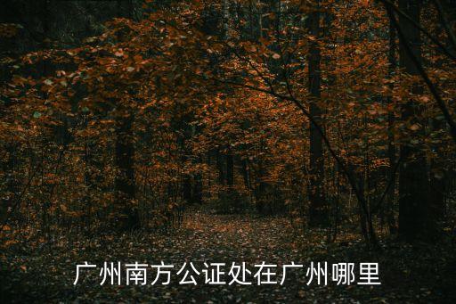 廣州南方公證處在廣州哪里