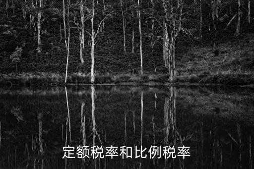 定額稅率，定額征稅的所得稅率是多少