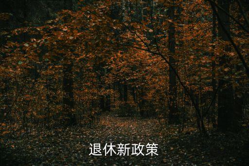 退休新政策