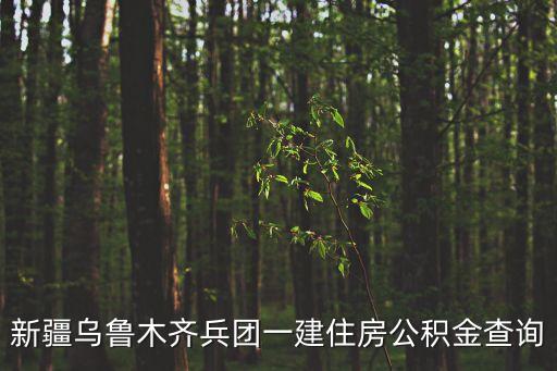 兵團(tuán)住房公積金，兵團(tuán)第一師住房公積金查詢