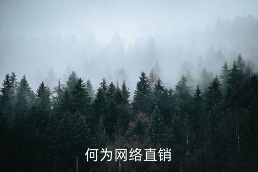 網(wǎng)絡(luò)直銷，何為網(wǎng)絡(luò)直銷