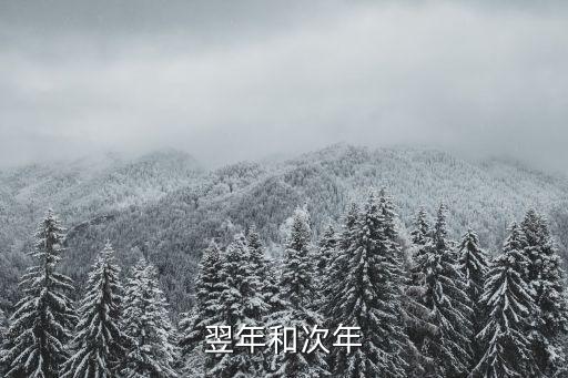 次年，次年是什么意思