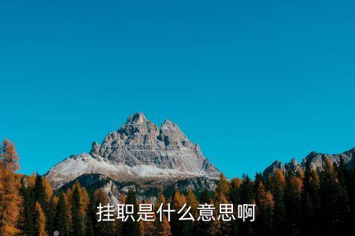 掛職是什么意思啊