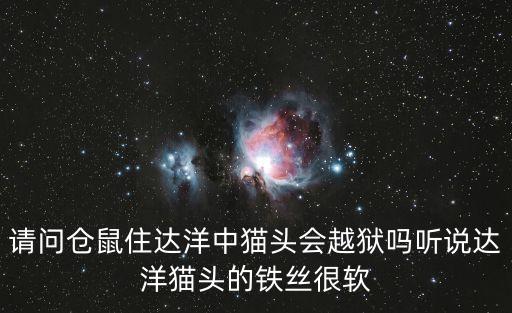 達洋，保定達洋信息咨詢有限公司能騙人嗎現(xiàn)在有許多中介都是騙人的