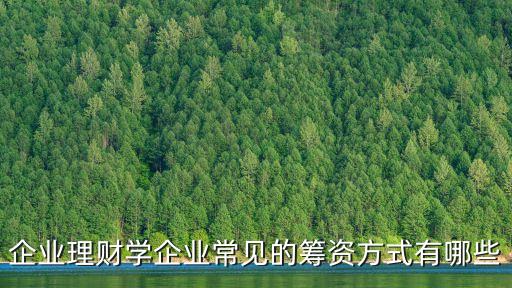 籌資方式，什么是籌資方式