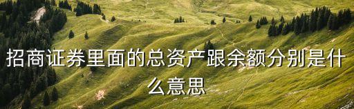 總資產(chǎn)，總資產(chǎn)包括什么部分怎么做一個(gè)表