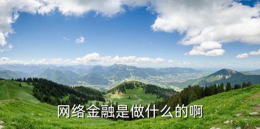 網(wǎng)絡(luò)金融是做什么的啊