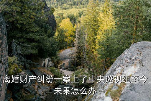 離婚財產(chǎn)糾紛一案上了中央巡視組至今未果怎么辦