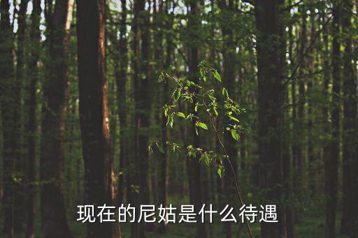 尼姑福利，當尼姑有什么待遇
