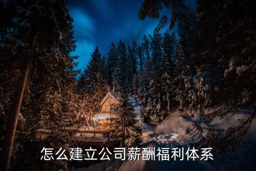 怎么建立公司薪酬福利體系