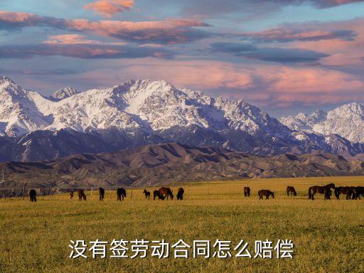 沒(méi)有簽訂勞動(dòng)合同怎么賠償，未簽訂勞動(dòng)合同如何賠償