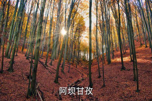 甘孜阿壩，四川阿壩州和甘孜州哪個好耍些